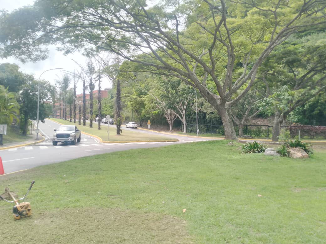 AlcaldiaBaruta's tweet photo. El equipo de #ÁreasVerdes 🍃se encuentra realizando labores de:
🍃Desmalezado y saneamiento ambiental:
📍Urb. #PradosDelEste
📍Urb. #ColinasDeValleArriba
🍃Poda de seguridad:
📍Urb. #Chuao
🍃Desraizado:
📍Urb. #PradosDelEste https://t.co/oOIUuIBzrv