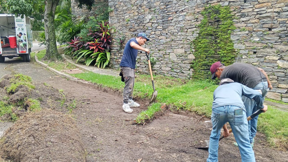 AlcaldiaBaruta's tweet photo. El equipo de #ÁreasVerdes 🍃se encuentra realizando labores de:
🍃Desmalezado y saneamiento ambiental:
📍Urb. #PradosDelEste
📍Urb. #ColinasDeValleArriba
🍃Poda de seguridad:
📍Urb. #Chuao
🍃Desraizado:
📍Urb. #PradosDelEste https://t.co/oOIUuIBzrv