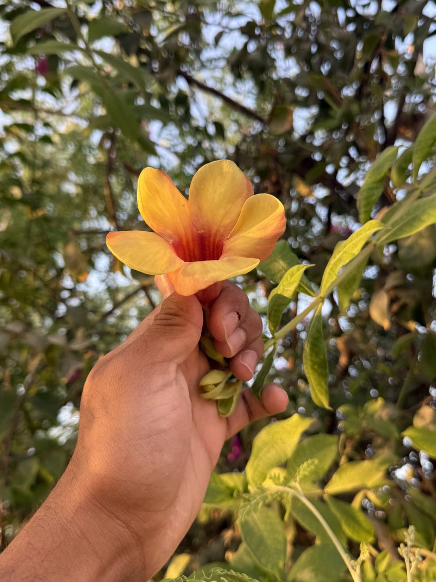 الله لو تدري كيف ابتسم وانا اسمعك
جعل صوتك عن مسمعي ما يغيب❤️