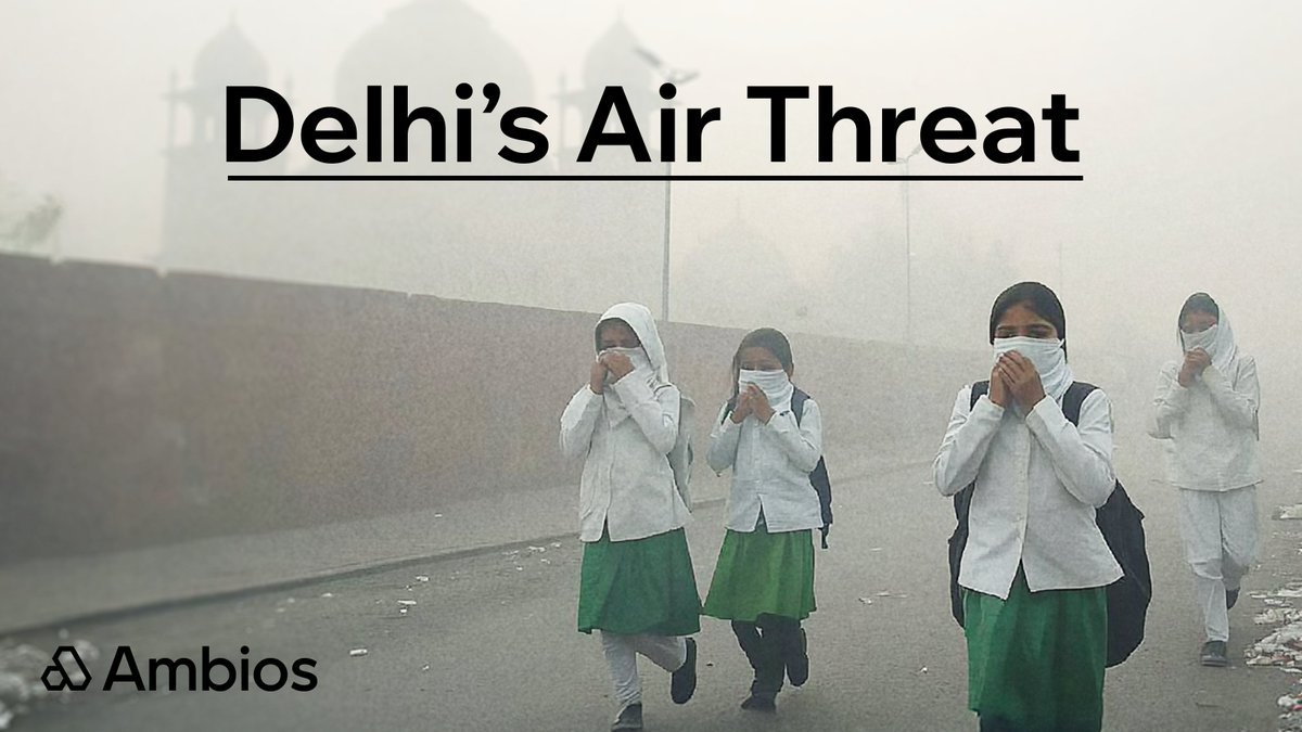 Ambios Network tweet media