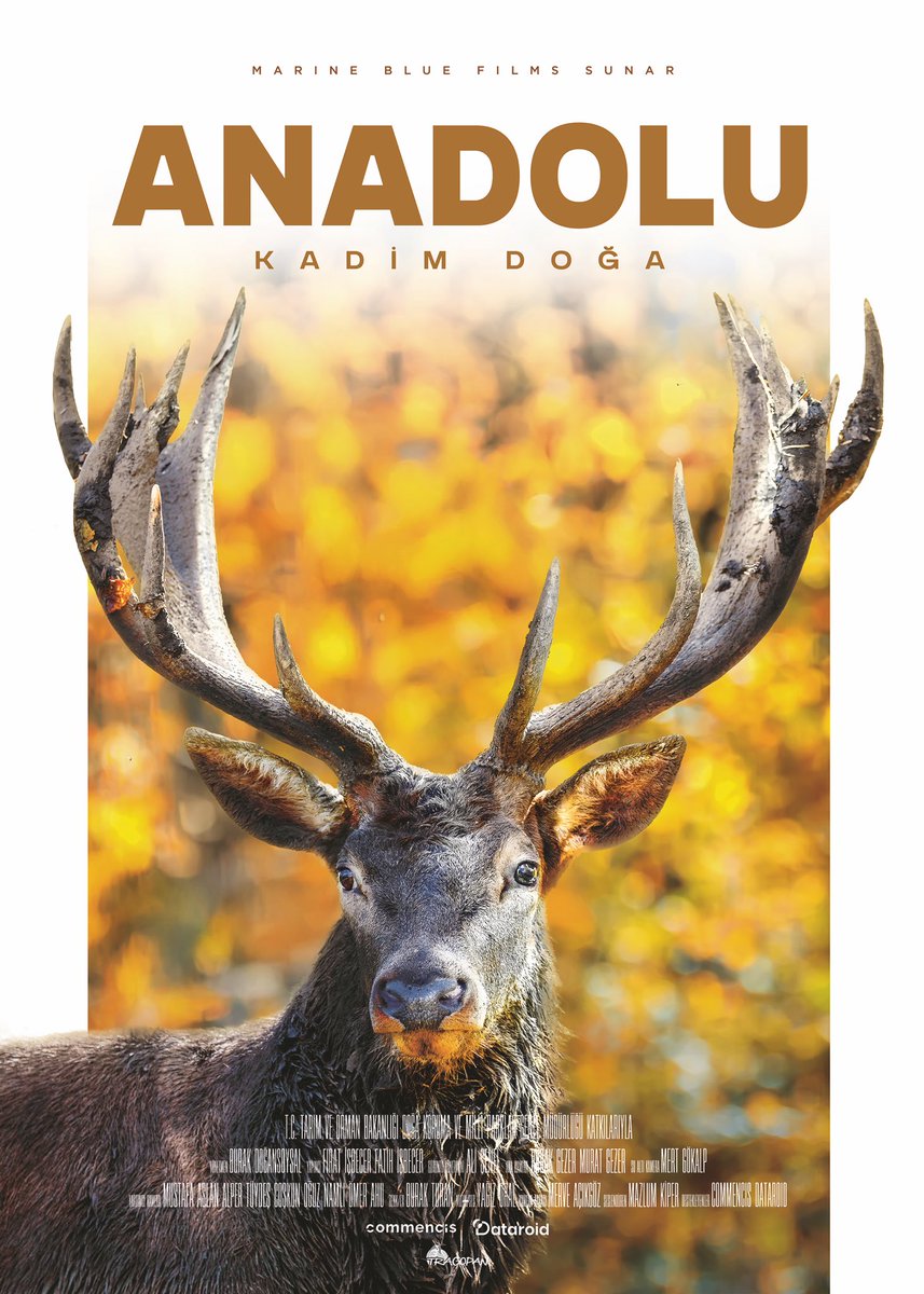 Bekleyiş sona erdi!

Bilim danışmanı olduğum Anadolu Kadim Doğa belgeselimiz “Dağlar ve Ormanlar” adlı 1. bölümü ile 15.11.2025 tarihinde saat 17.00’de Youtube’da yayında!

66 dilde altyazı ve 22 dilde dublaj seçeneği mevcut.

İzlemek için… 👇🏻
🔗 dar.vin/dvo