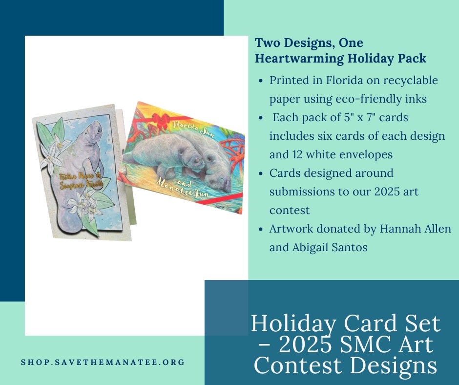 Featured item: Holiday cards!
shop.savethemanatee.org/products/festi…
We are thrilled to present our new holiday cards designed around submissions to our 2025 art contest. Each pack of 5" x 7" cards incl 6 cards of each design &amp; 12 envelopes. 
Artwork donated by Hannah Allen &amp; Abigail Santos!
