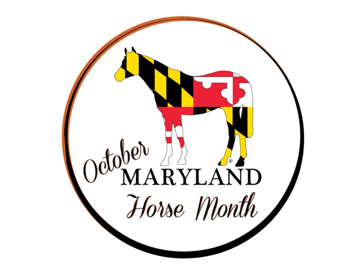 The Equiery tweet media