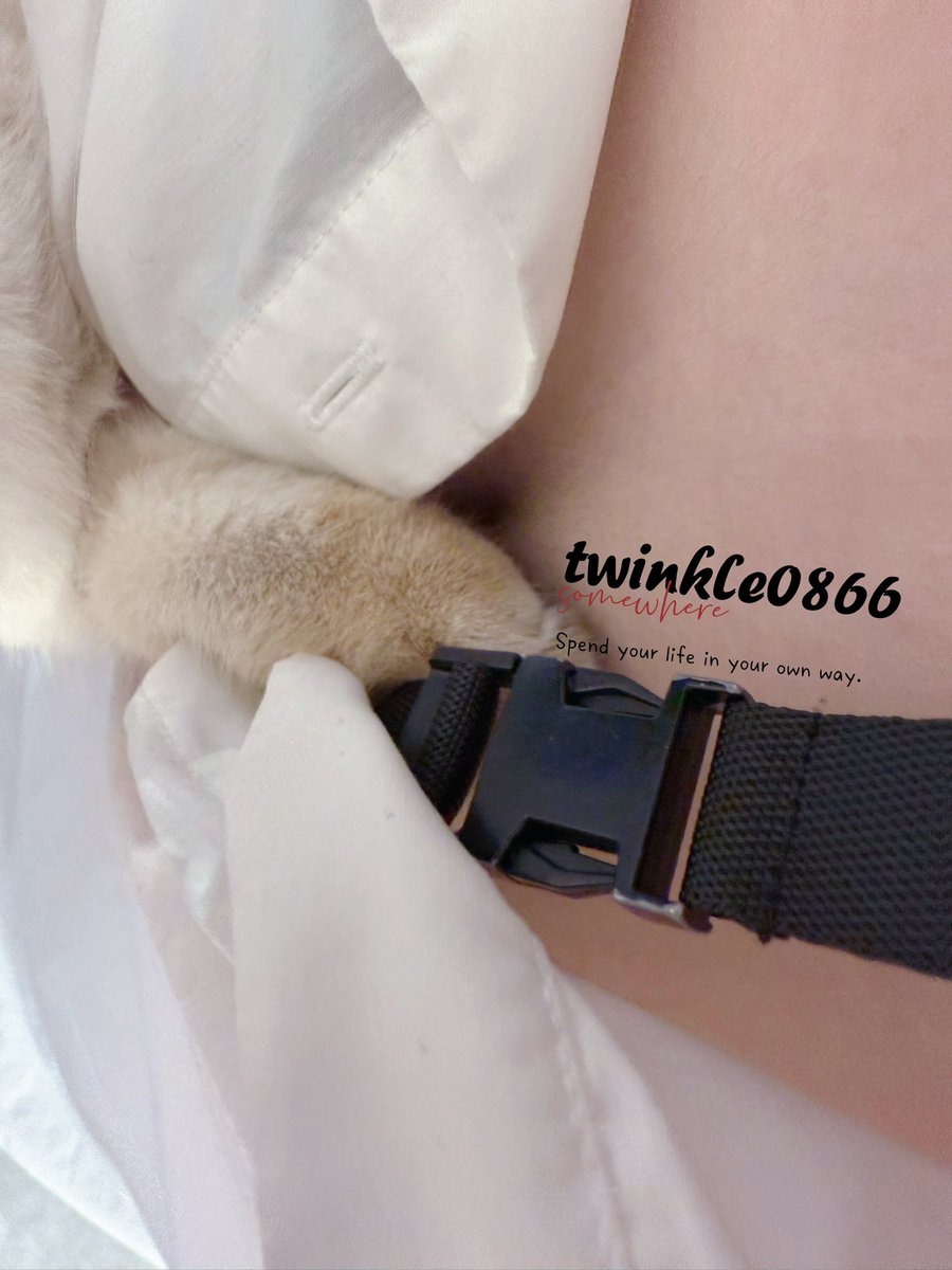 饼饼好吃 tweet media