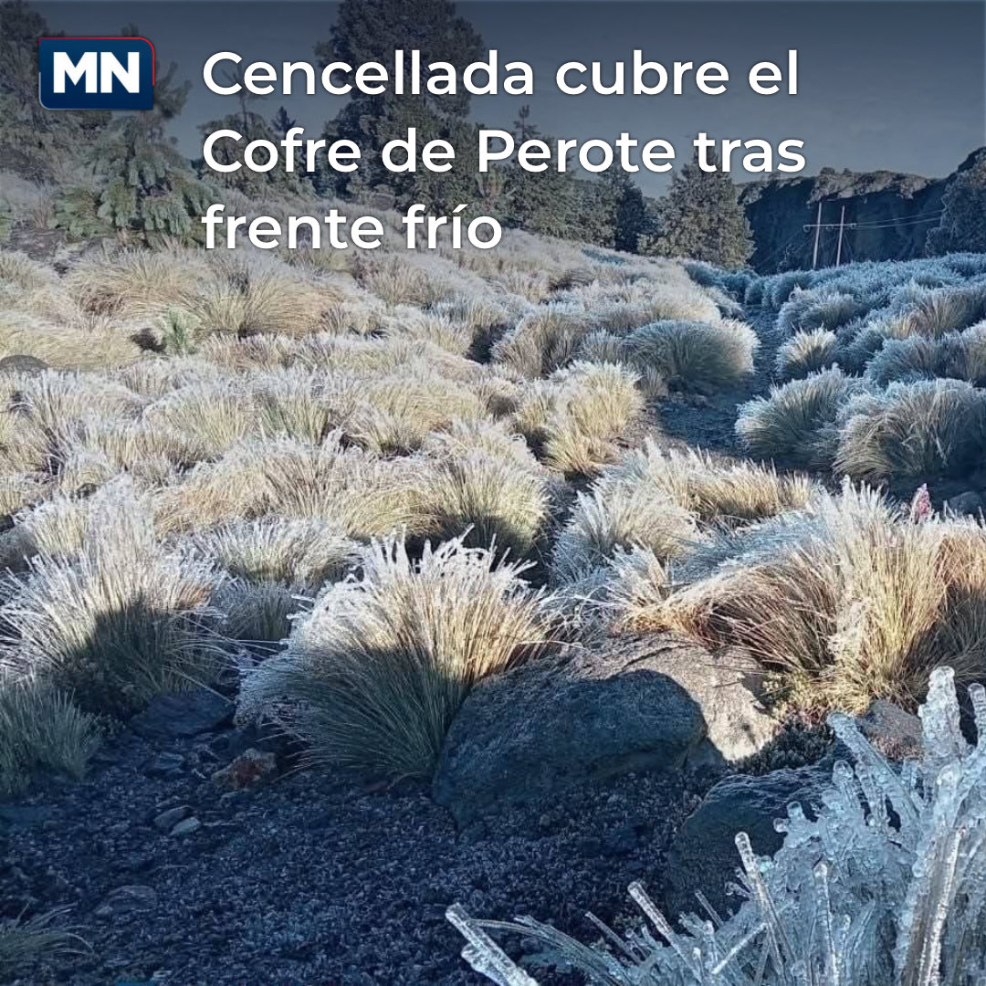 MeganoticiasXAL's tweet image. #MNXAL 🌨️ El Cofre de Perote amaneció cubierto de hielo por el #FrenteFrío13 ❄️ Precaución al subir 🧤🧣 #Veracruz #Cencellada #ClimaFrío
meganoticias.mx/xalapa/noticia…