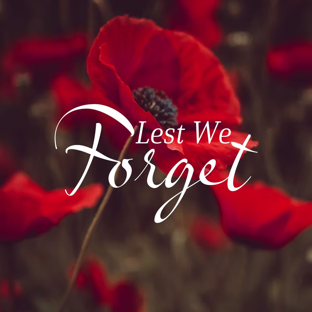 On this Remembrance Day, we take a moment to honor the courage, sacrifice, and dedication of those who fought for peace and freedom.

Their legacy inspires us to approach everything we do with strength, resilience, and a commitment to building a better future.