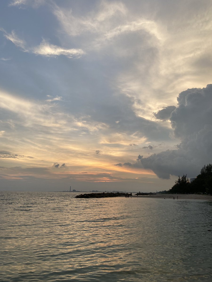 paper (@im_paperrrr) on Twitter photo 