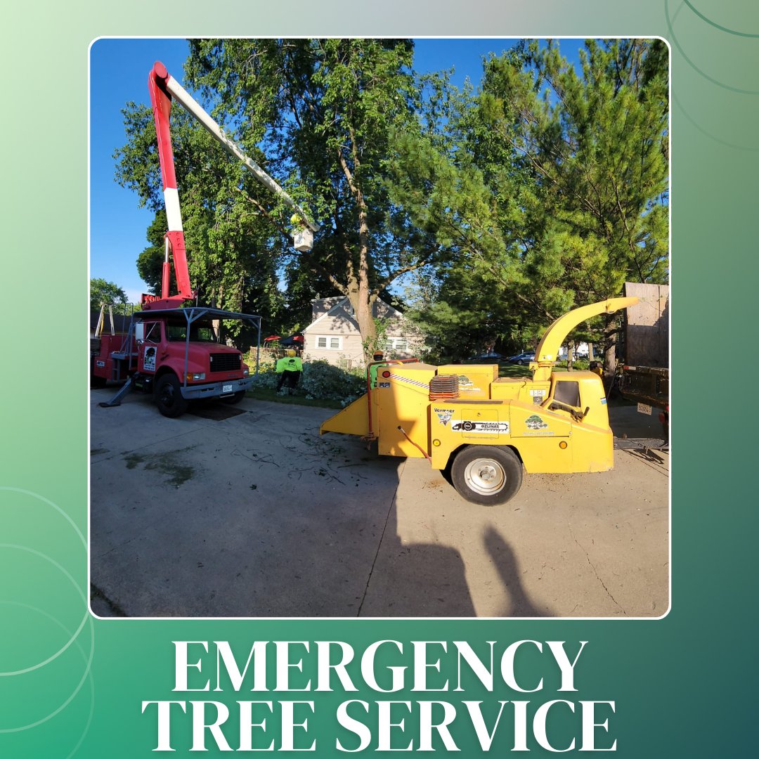 RJOzunasTreeSe1's tweet image. Storms and unexpected damage can strike at any time. That&apos;s why we&apos;re available for #EmergencyTreeService to keep your family and property safe. Save our number today for peace of mind!
elmhursttreeremoval.com/about