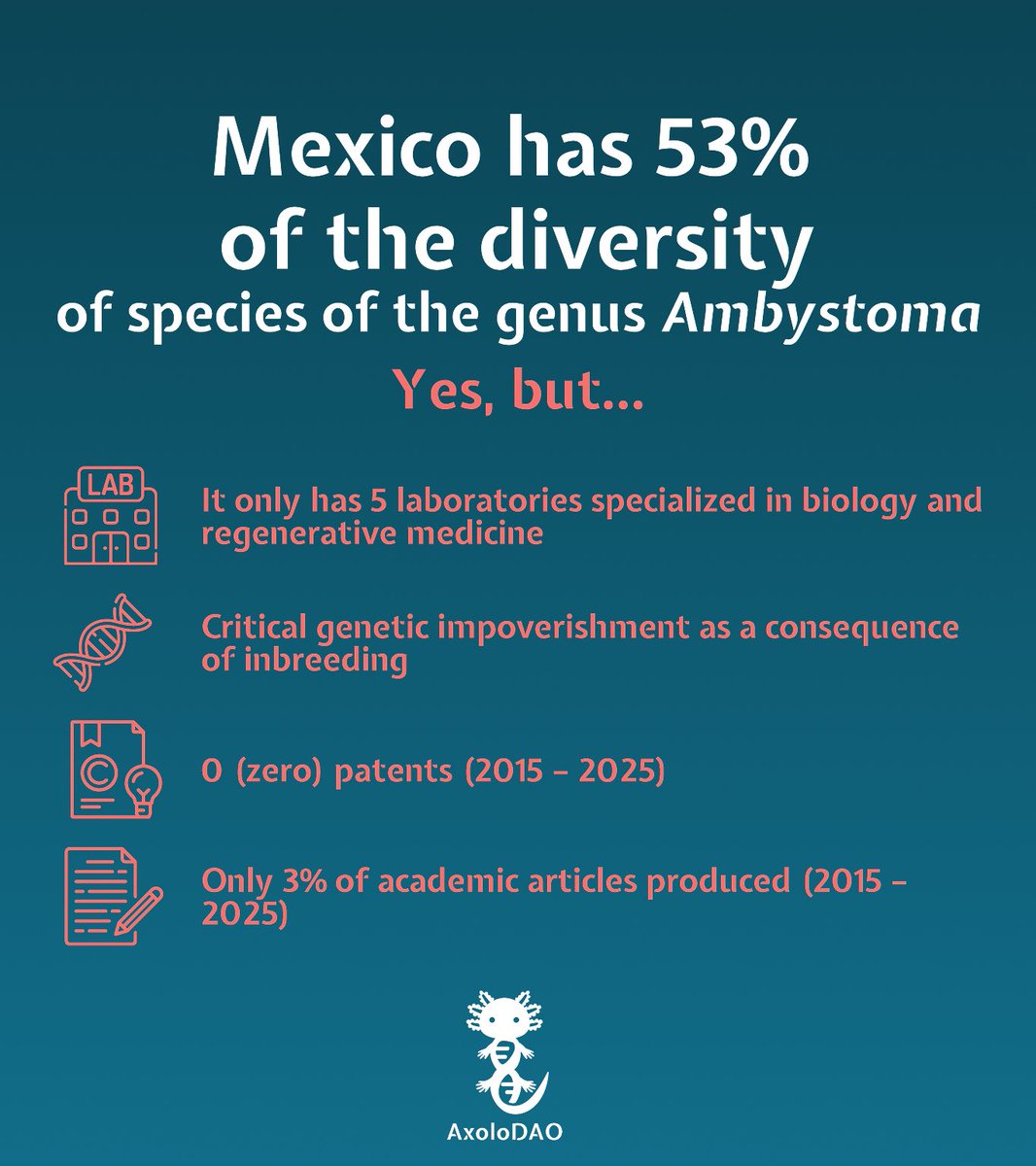 zenbit.eth tweet media