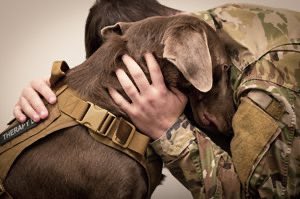 On this Remembrance Day 🇨🇦and Veteran’s Day for our 🇺🇸 friends…. Let’s also thank our furry friends who serve! 
❤️🐾🫡