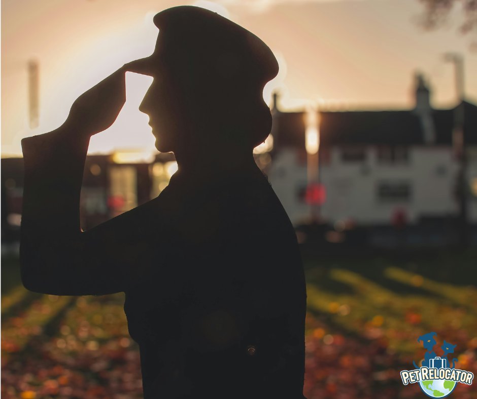 PetRelocator's tweet image. Nothing but immense gratitude for our Veterans, today and everyday! 
Thank you, Veterans. 🇺🇸🇺🇸🇺🇸

#PetRelocator #PetRelocation #Pets #PetReunions #FamilyFirst #WeLovePets #PetRelocatorTeam
#PetShippingExperts #PetShipping #DogShipping #DogTransport #PetTransport