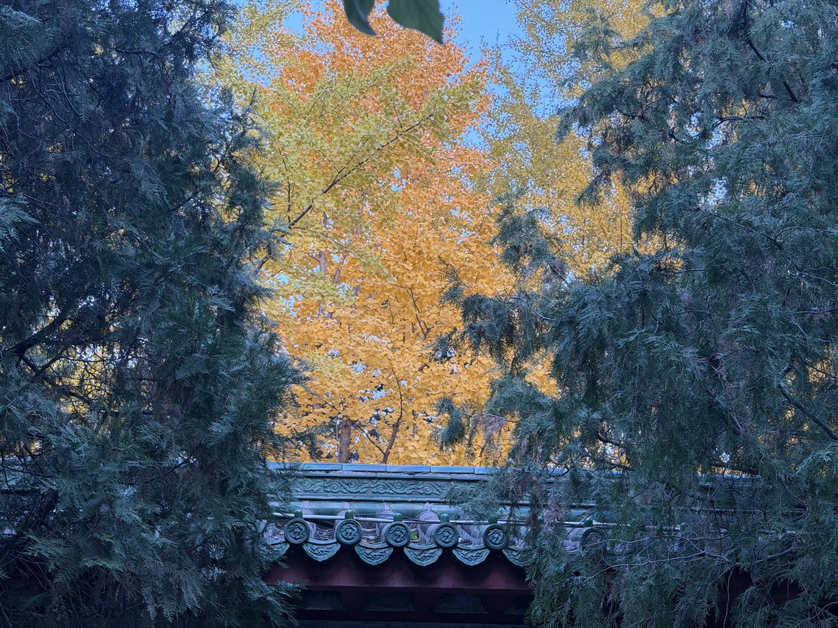 THE9scientist's tweet photo. 北京的秋总是别样的味道 https://t.co/E80RMdkZDQ