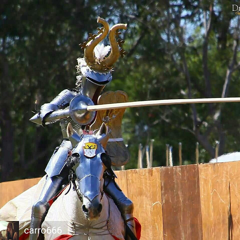 The Late Knight Show tweet media