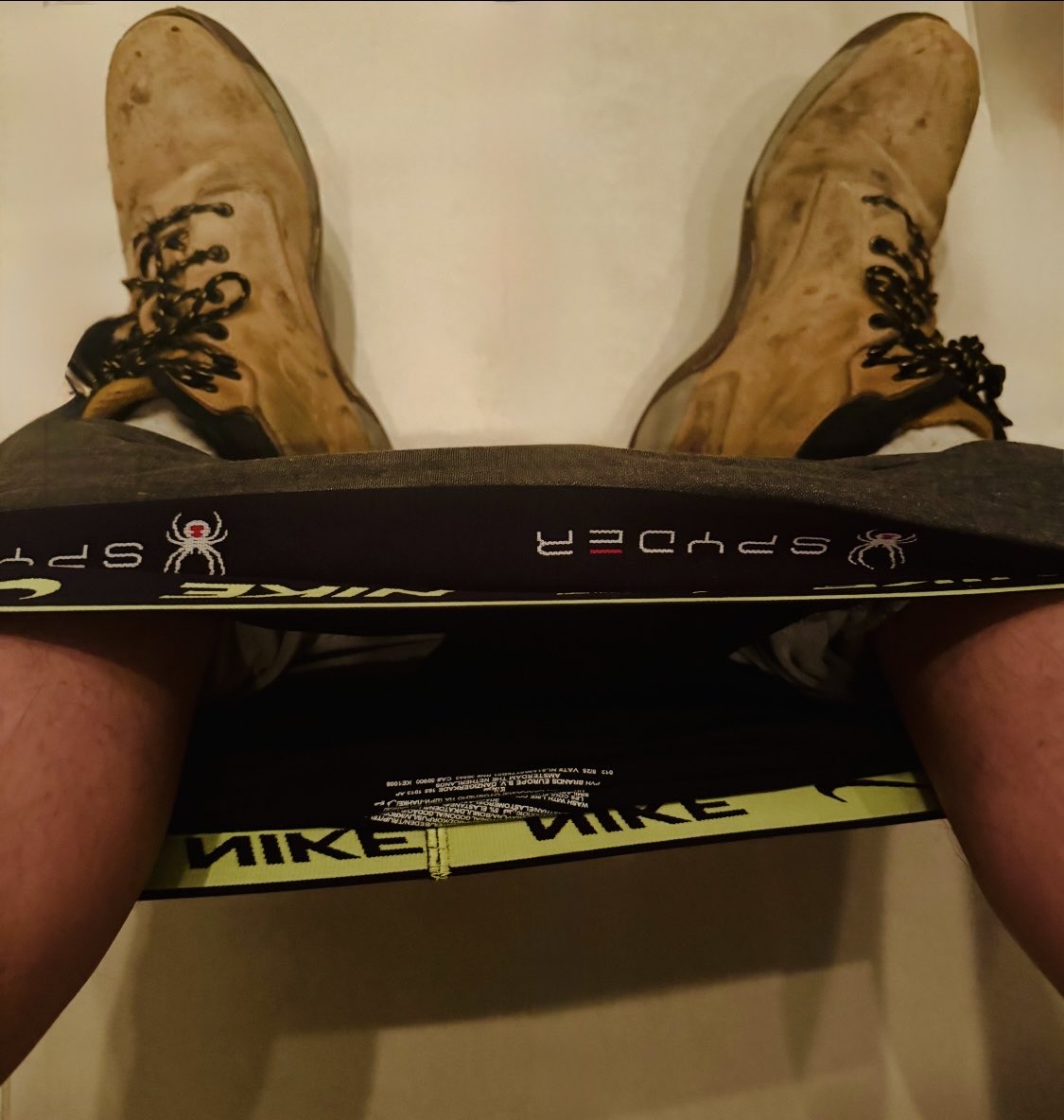 Scaff Hunter tweet media