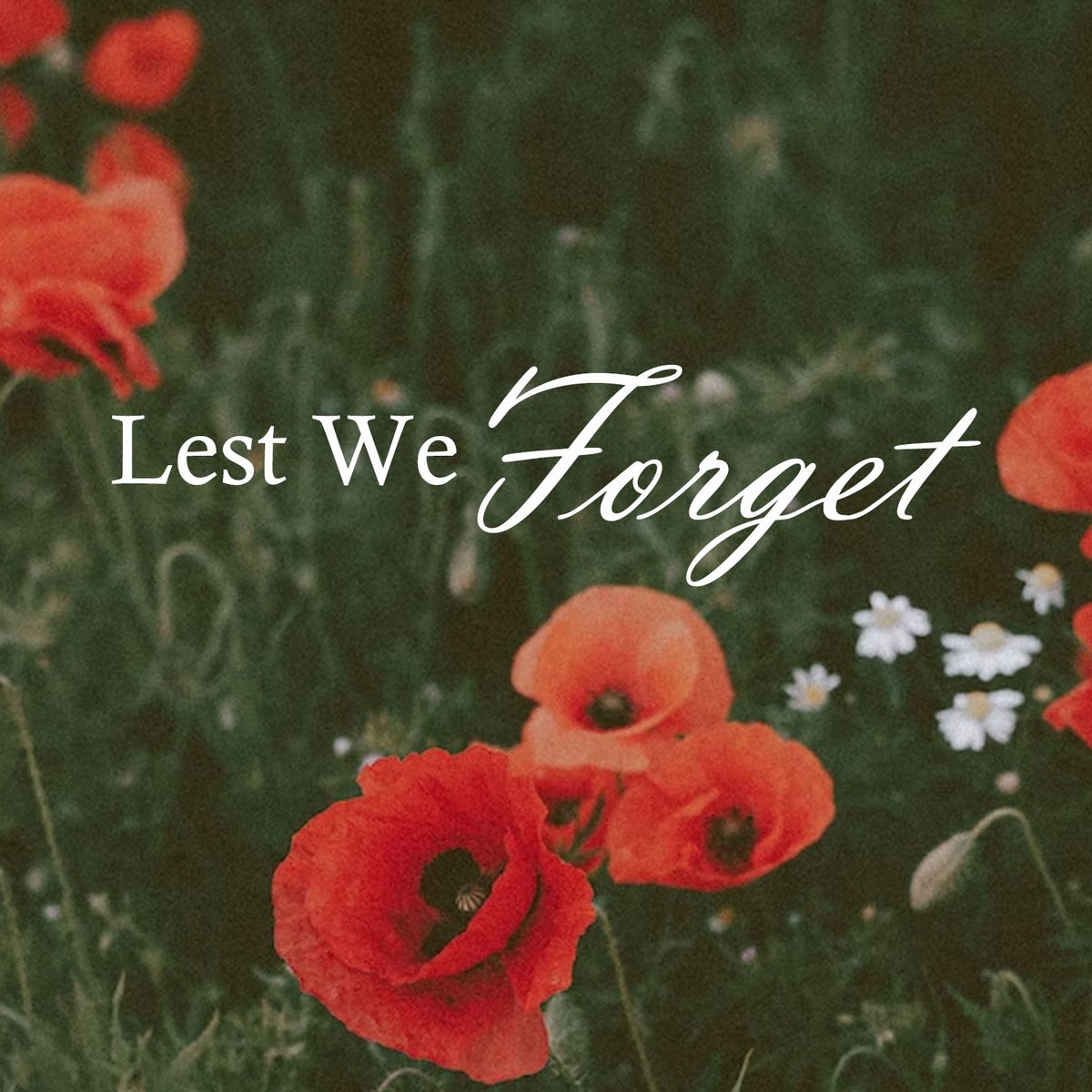 On_Panelization's tweet image. This Remembrance Day, we pause to honor the bravery, sacrifice, and dedication of those who served to protect our freedom.

Their courage continues to inspire us in the work we do every day, building with care, precision, and respect for the communities we serve.