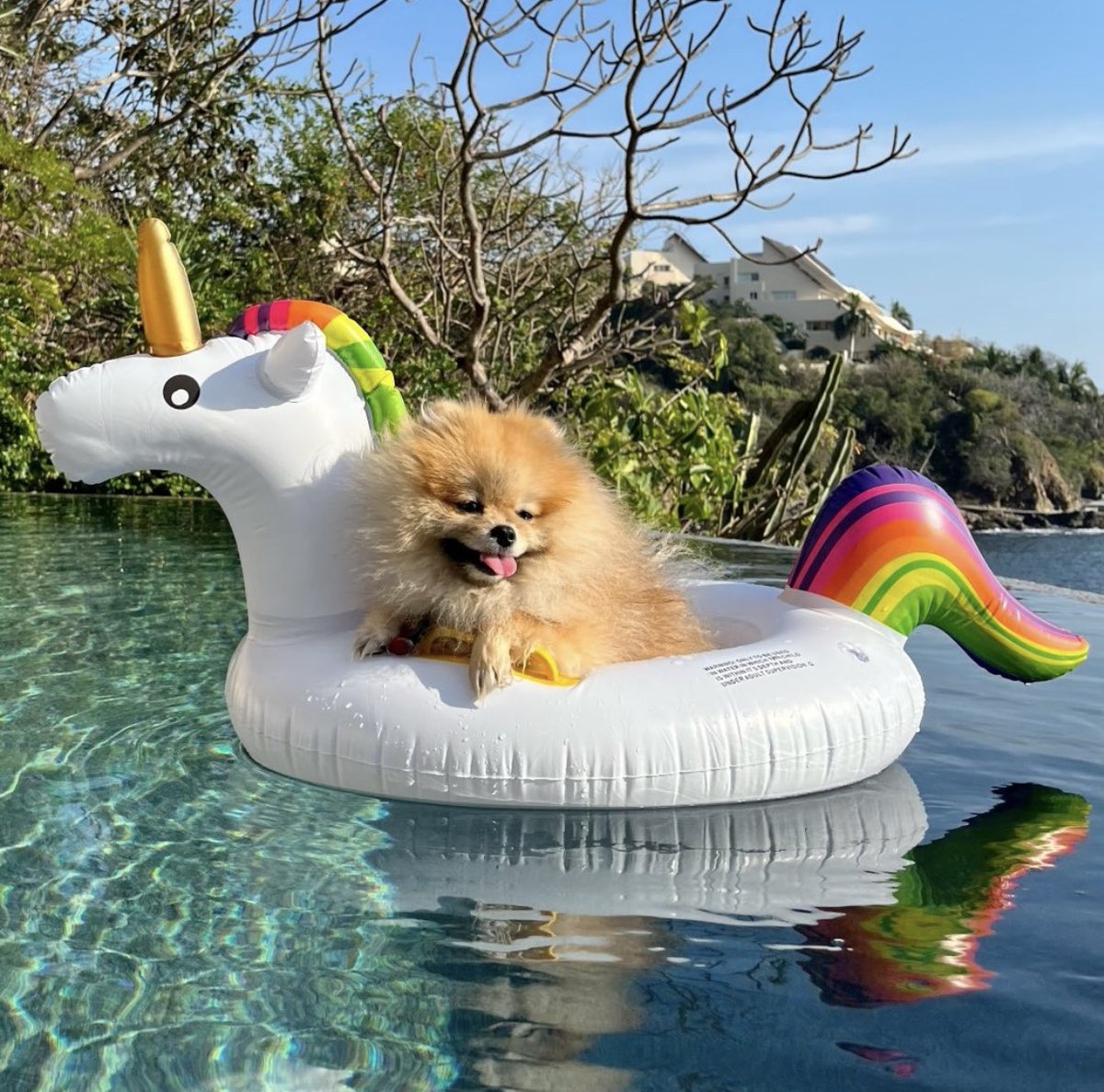 Cala de Mar Ixtapa tweet media