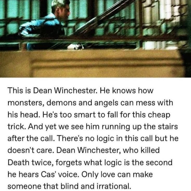 soph 🪽🐿️ | spntoronto tweet media