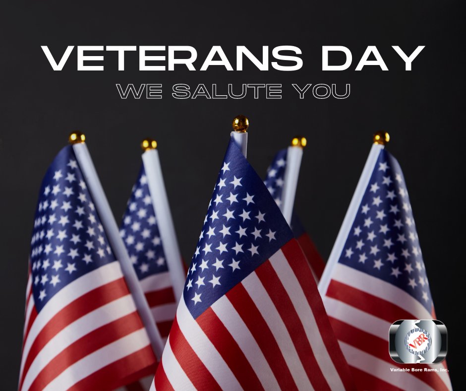 VBRIBoreRams's tweet photo. On Veterans Day, we honor the men and women who have served our nation. We extend our deepest gratitude for your service and sacrifice. 

#VeteransDay #Gratitude #ThankYouForYourService https://t.co/RO0pP3n1xJ