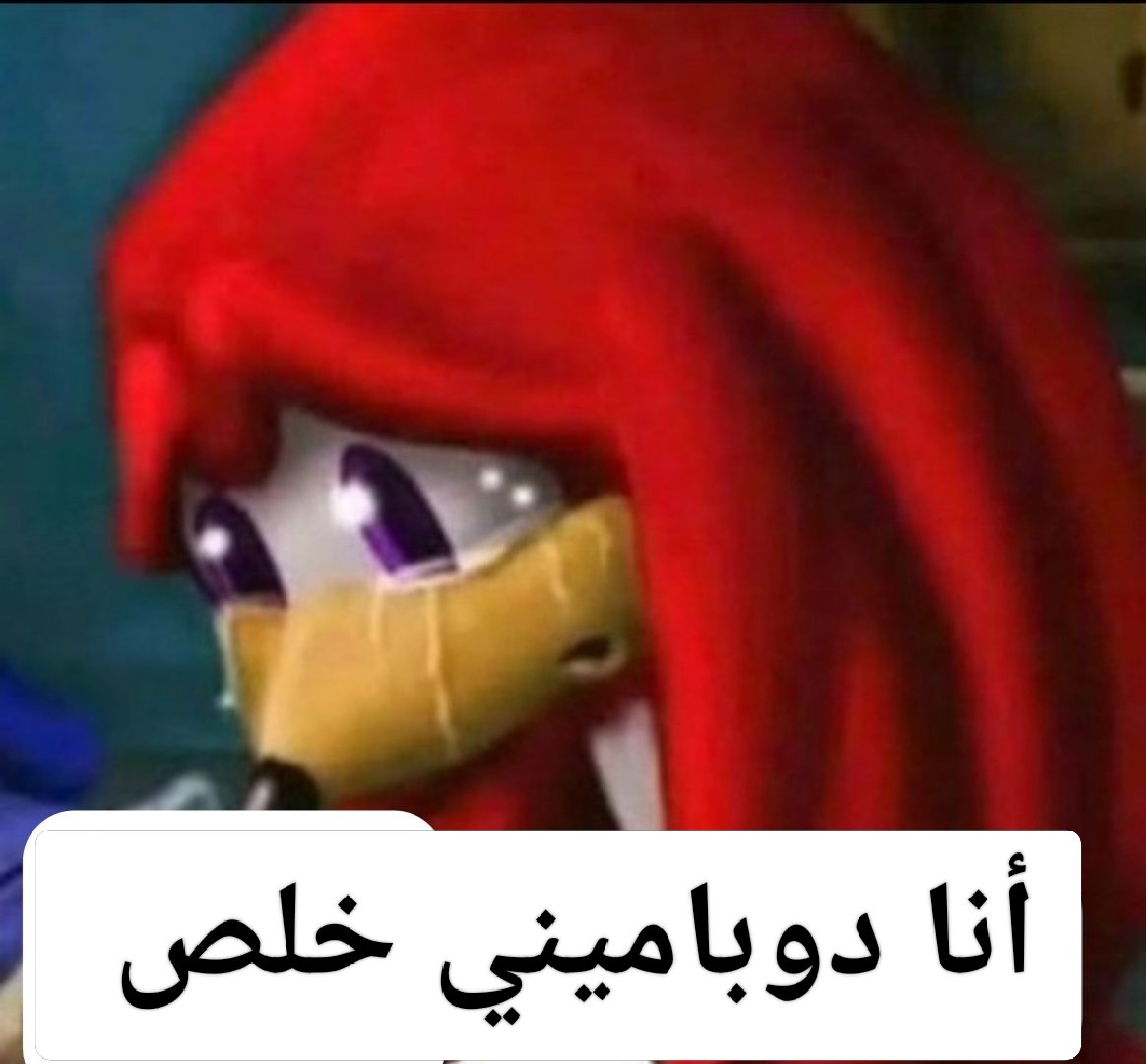 Ali Wael (@aliwael67) on Twitter photo 