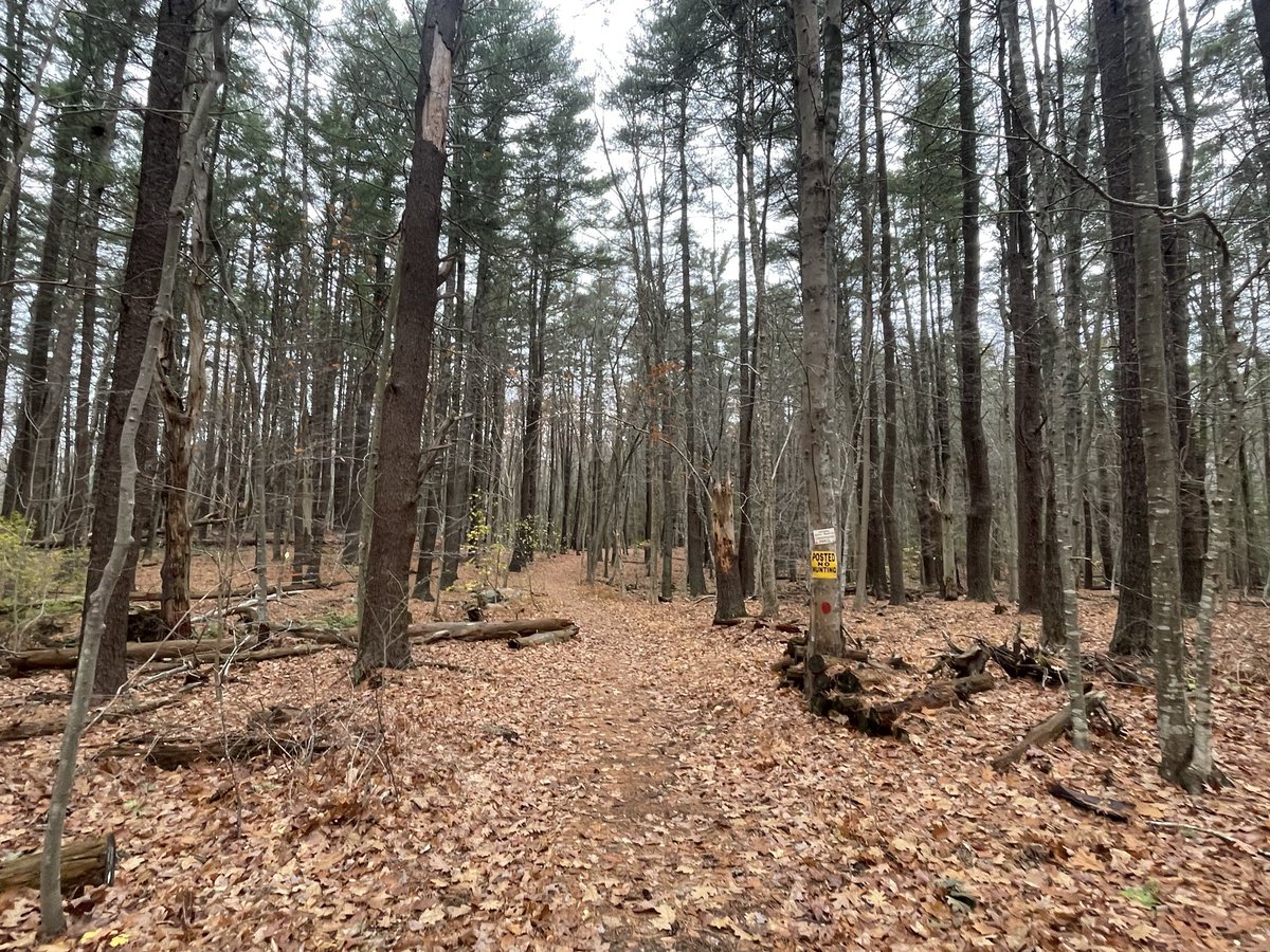 CryptoSignCo's tweet image. Touch Grass!