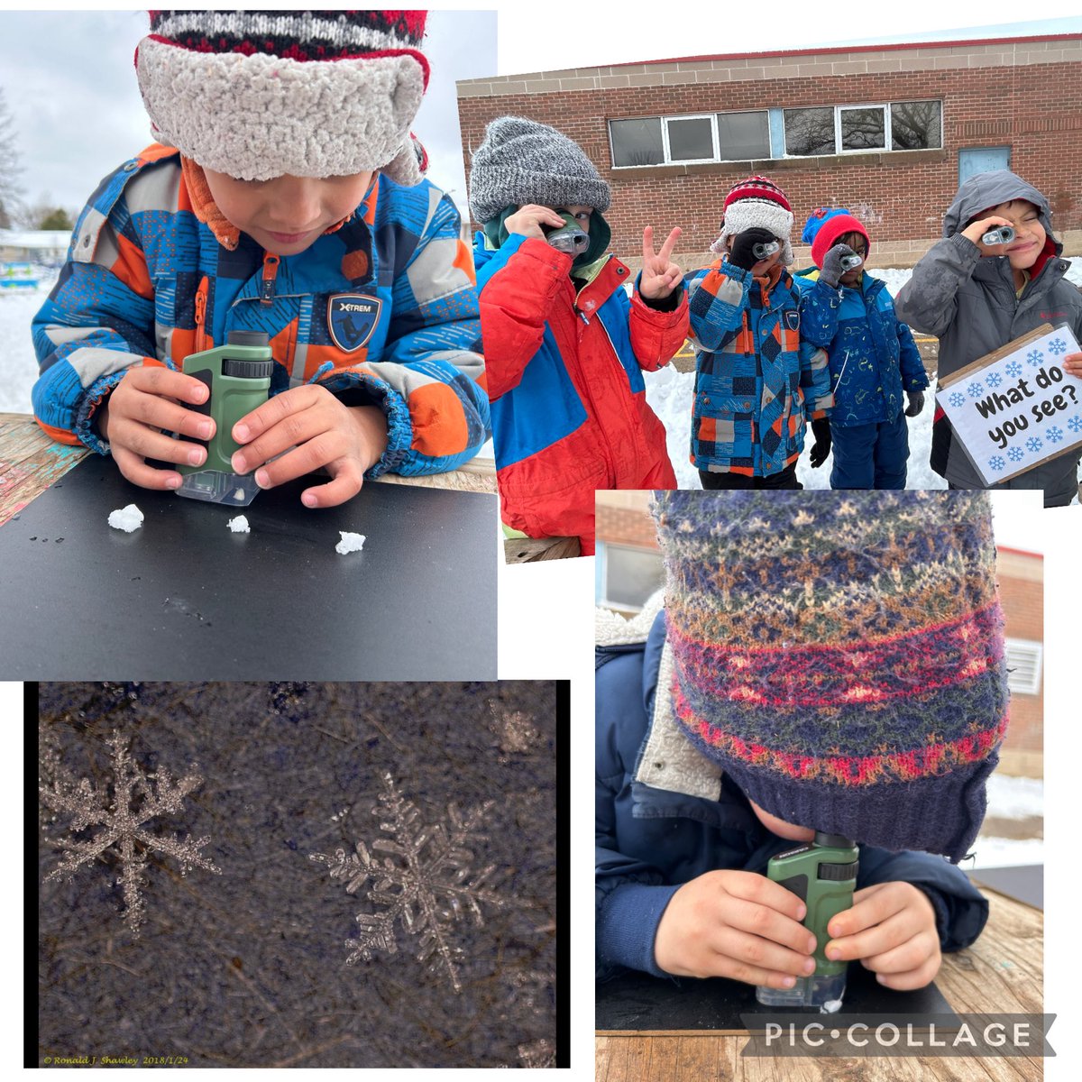 Ms. Featherston tweet media