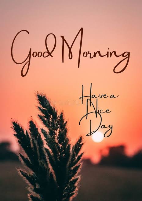 Good morning 🌅 
Have a great day