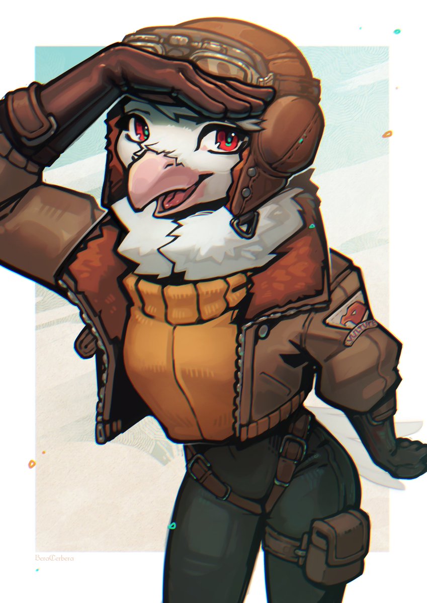 What does the bird see from a bird's eye view?