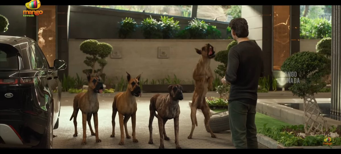 4 Days to Go 🔥🔥🔥🔥
#GlobeTrotter #SSMB29 #MaheshBabu