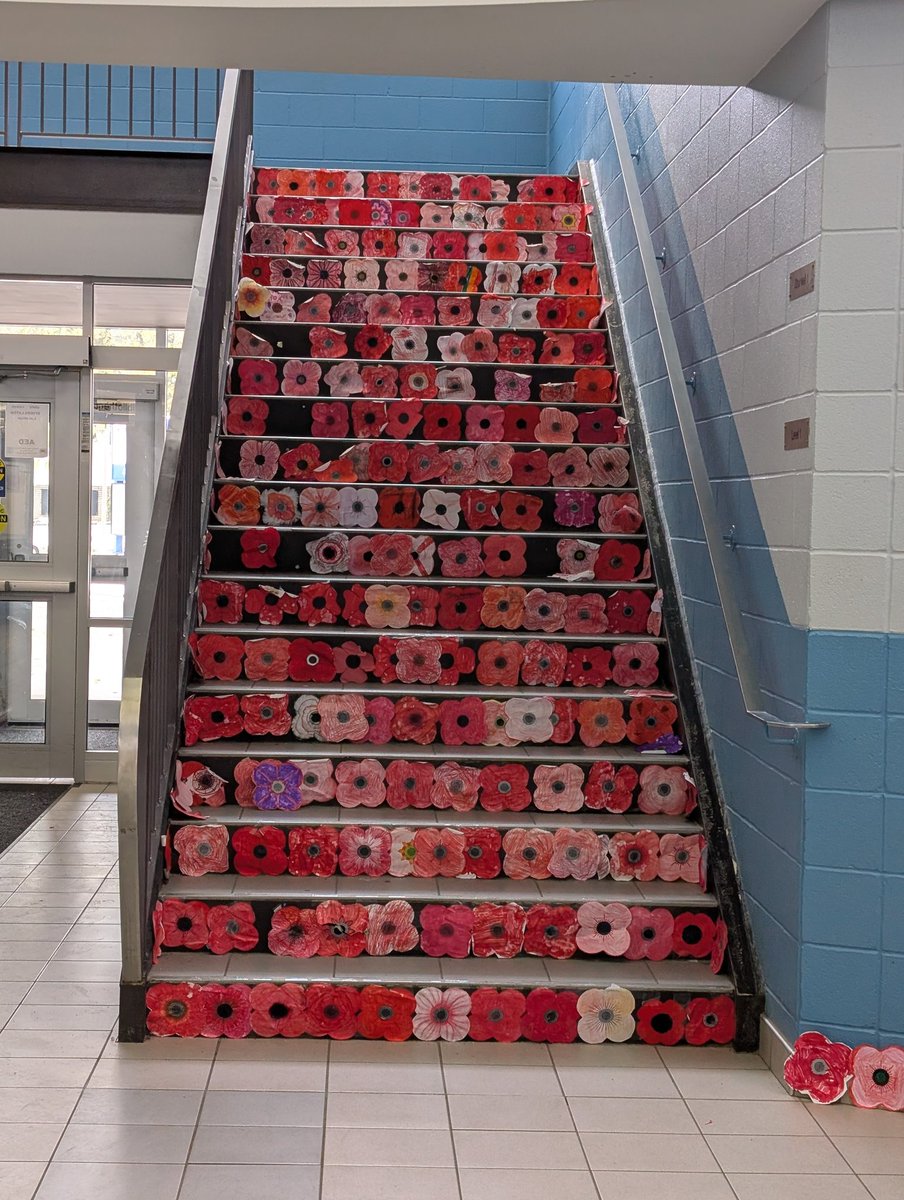 Ms.D.Lo 🍁 tweet media