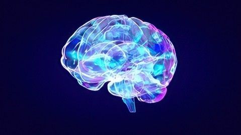 julosheels's tweet image. 🌍 Seattle, United States! 🌍
stock.adobe.com/search?creator…
#Creativeness #Medical #Anatomy #Senses #Idea #Soul #Concept #Neuron #Mental #Xray #Seattle #Unitedstates