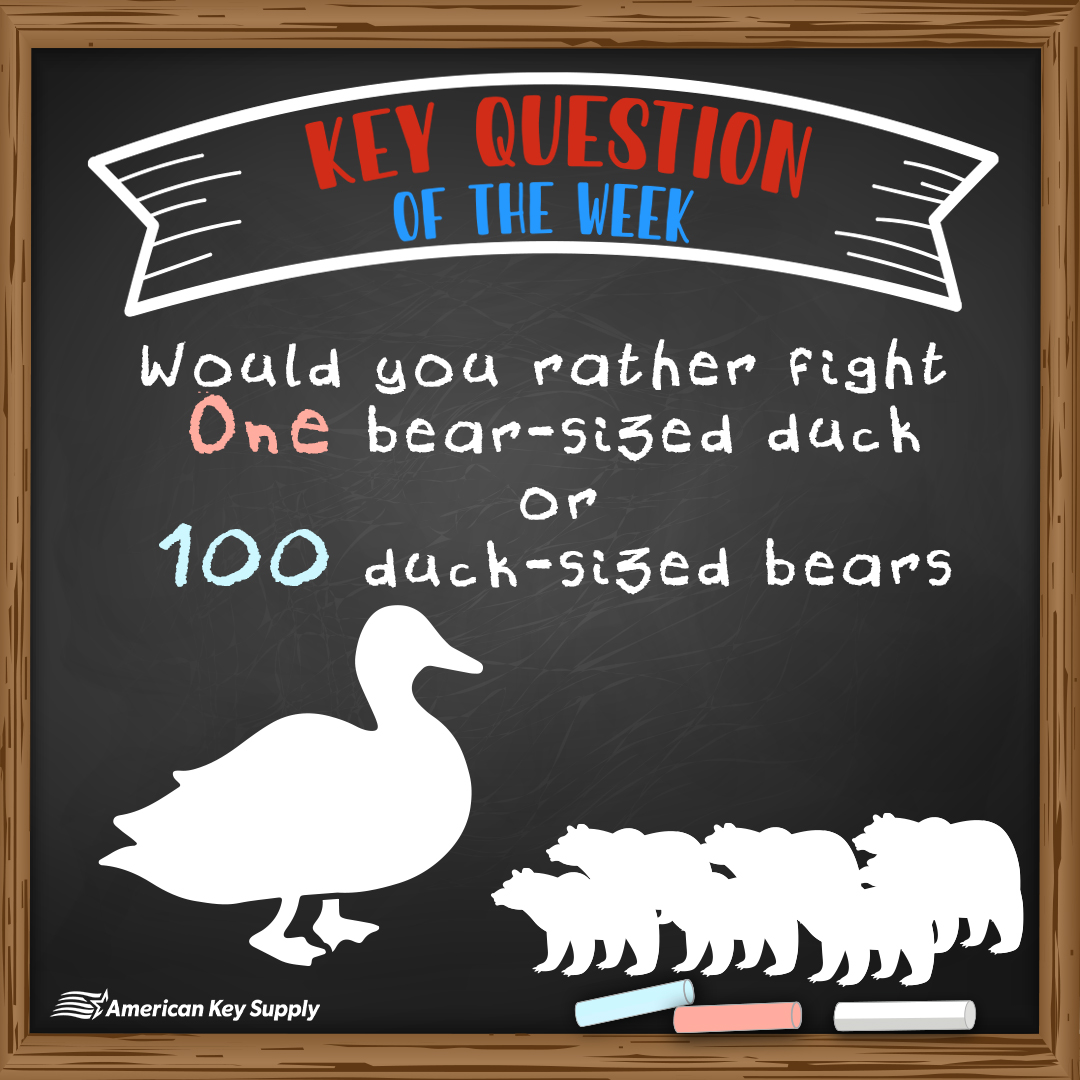 AmerKeySupply's tweet photo. 🗝️ KEY QUESTION OF THE WEEK! 🦆🐻

It’s the ultimate locksmith showdown…
Would you rather take on one bear-sized duck 🐤💪
or 100 duck-sized bears 🐻🐻🐻 (tiny but mighty)?
Drop your pick below and tell us why — bonus points for creativity! 😂👇
#KeyQuestionOfTheWeek https://t.co/2tBmEmd3tF