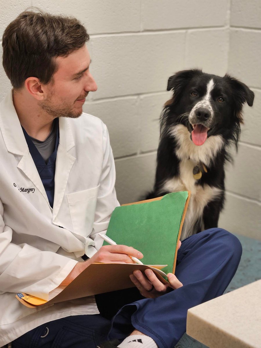 docugami's tweet image. NEW CASE STUDY: @JustFoodForDogs uses Docugami to automatically analyze complex medical records, saving time &amp;amp; unlocking vital insights, empowering their team to focus on meeting the needs of pets.
Read more: docugami.com/case-study/jus…