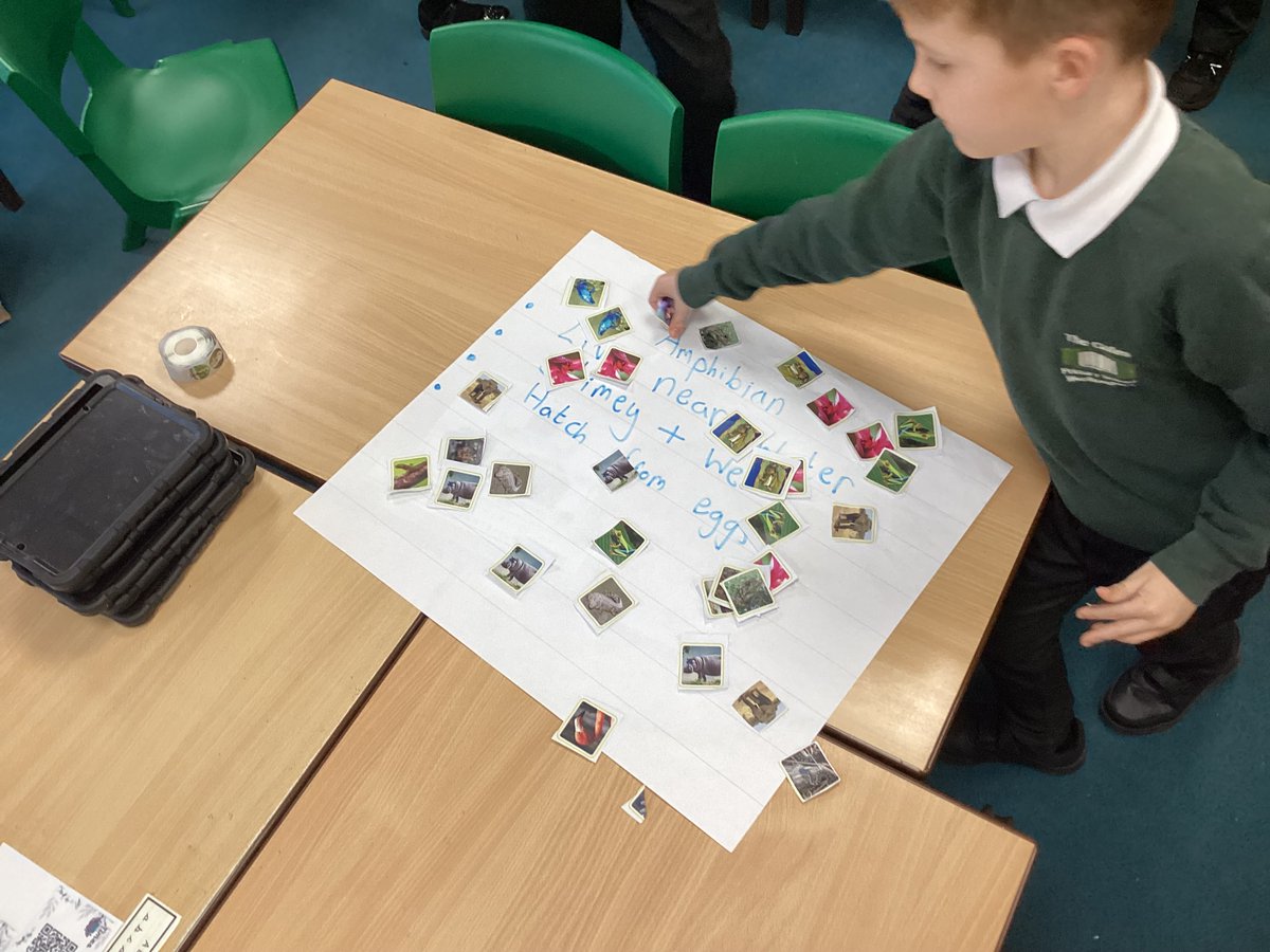 gates_owls's tweet image. Mr Shah led a fantastic look at #TheGatesScience learning today, starting with a comparison activity that helped us #classify animal groups! #Collaboration