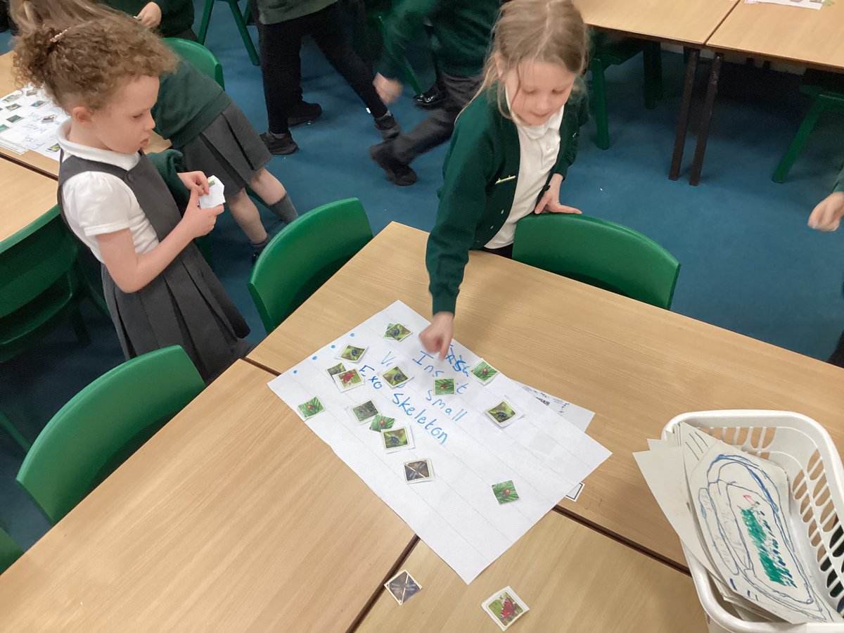 gates_owls's tweet image. Mr Shah led a fantastic look at #TheGatesScience learning today, starting with a comparison activity that helped us #classify animal groups! #Collaboration
