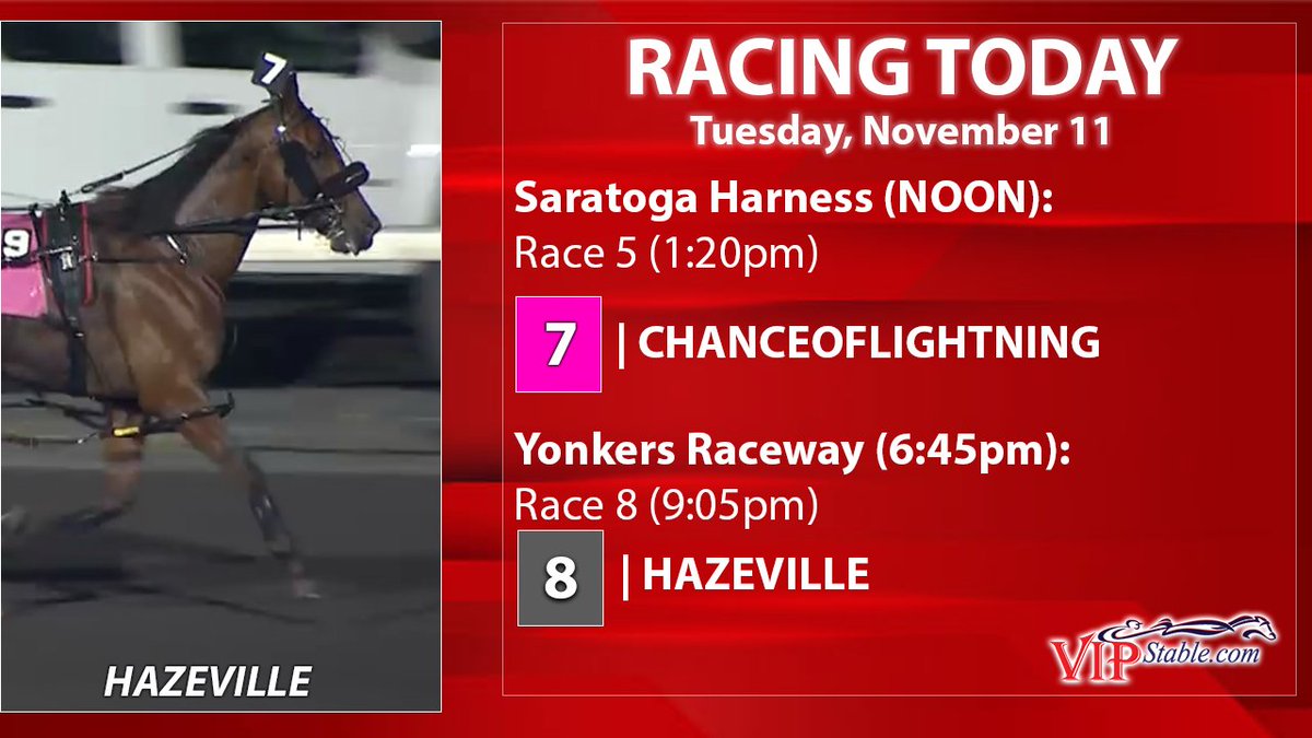 VIP Stable has two in today (November 11). Best of luck to the partners! #harnessracing #vipstable