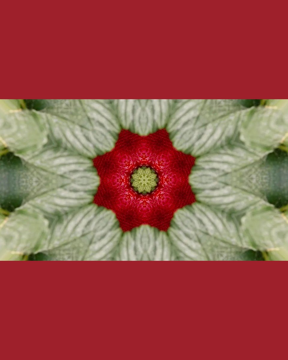 bonartcultural's tweet image. 🅒🅐🅣 Barcelona, epicentre de l’art digital internacional amb Loop (11-22 de novembre) 

Exposicions, xerrades, performances i trobades s’estenen pels principals espais culturals de Barcelona per posar en valor el vídeo i el cinema d’artista

🌈 bonart.cat/ca/n/45907/bar…