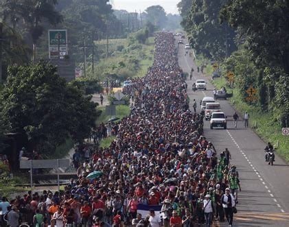 Elephant Signal 🐘🇺🇸 tweet media