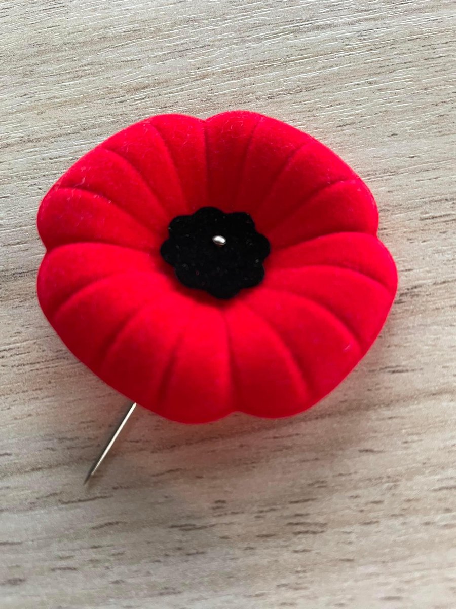 They fought for freedom, dignity, and hope — believing in a better future for us all. We honour them not just in remembrance, but in how we live: with empathy, courage, and unity. We can do better. And in their memory, we must. 🌺 #RemembranceDay #LestWeForget