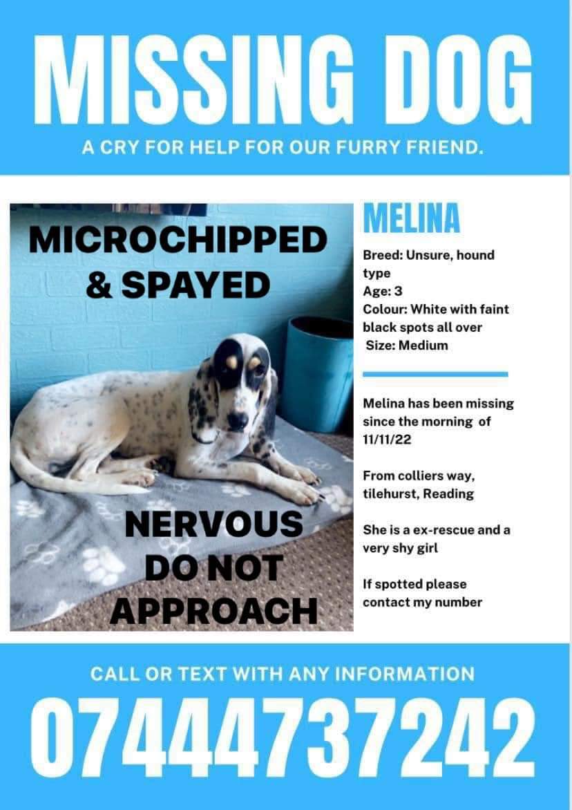 Missing Pets GB tweet media