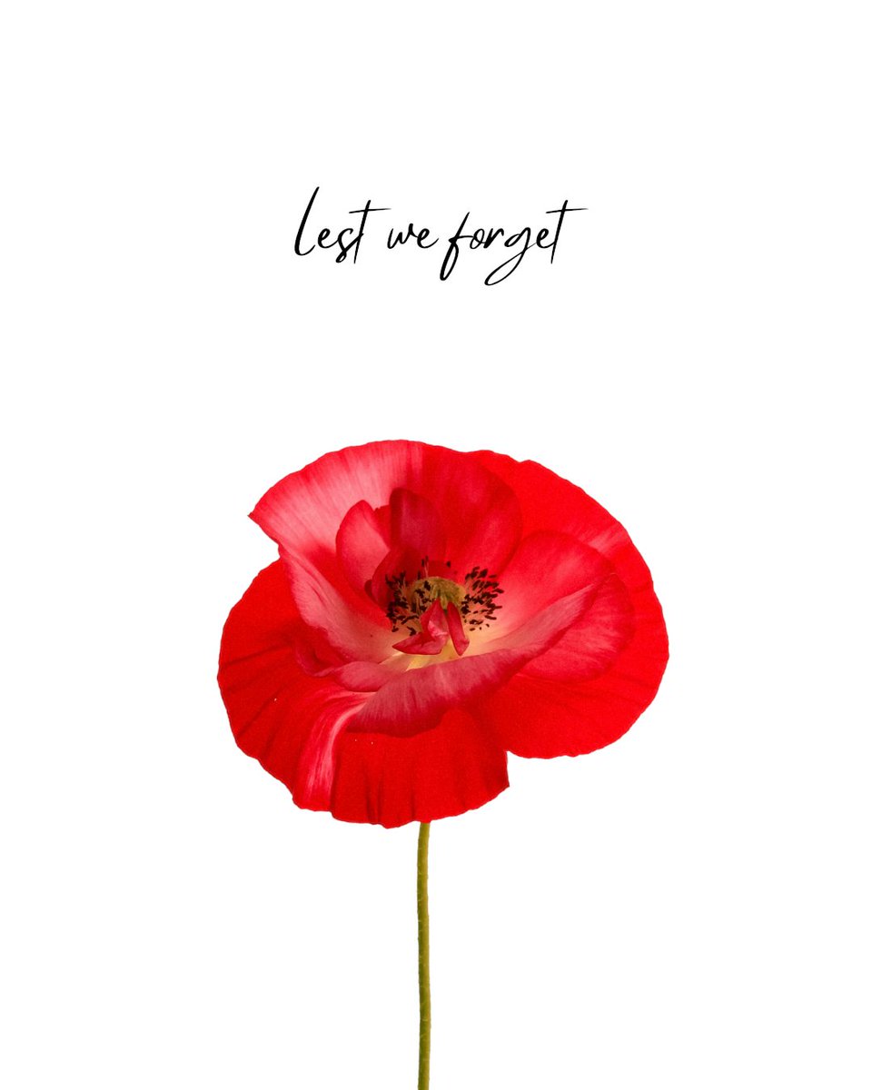 SusanRaphael1's tweet photo. Lest we forget ❤️ https://t.co/xxALHIIeR4