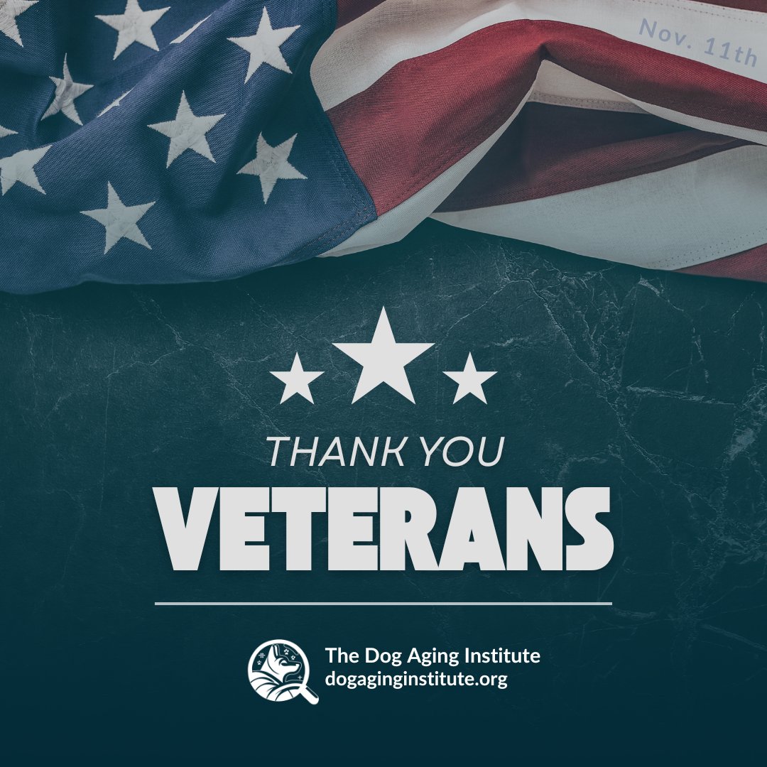 dogaginginst's tweet image. "The legacy of heroes is the memory of a great name and the inheritance of a great example." – Benjamin Disraeli

Today, we honor those who served with courage and sacrifice. We are forever grateful.

#VeteransDay #ThankYouVeterans #HonorAndRespect