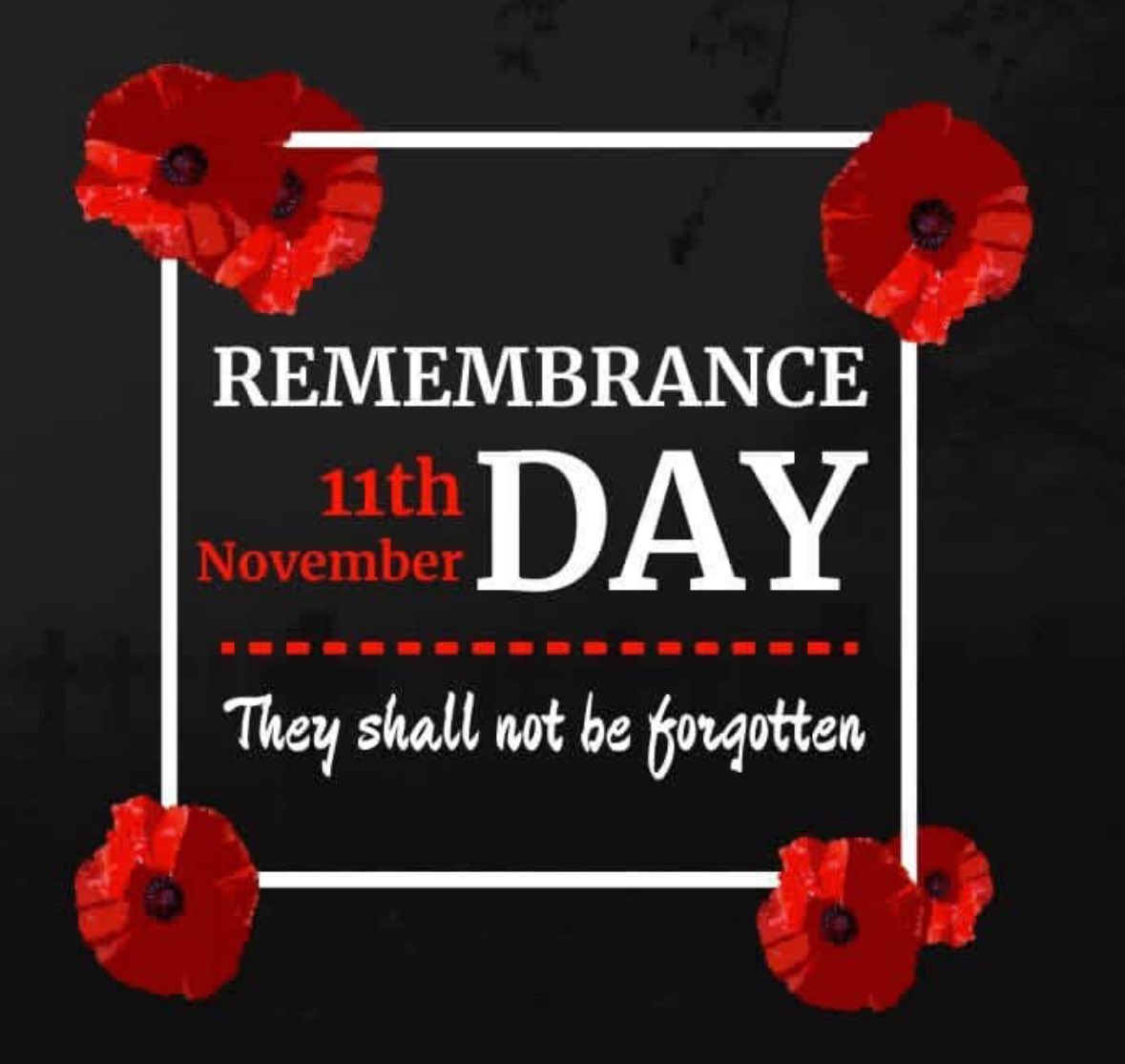 citylightsca's tweet photo. #lestweforget #canadaremembers #nov11 #rememberanceday https://t.co/QQ64PFdNDX