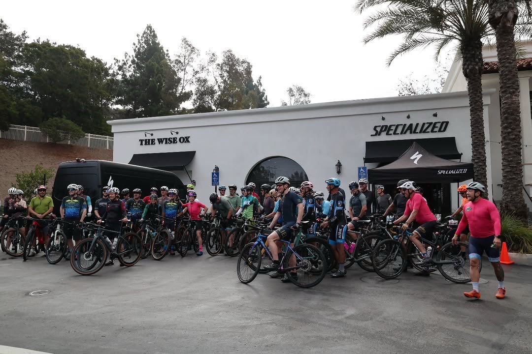 Bob’s Pickle Pops tweet media