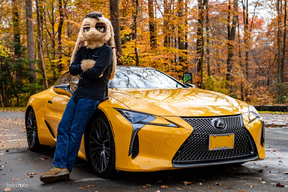 WattaBunny's tweet photo. Few fotos from the fotoshoot on Sunday. My first one ever! We took way more, I'll save them for Fridays! Thanks to all my friends for making it possible!

📷:@IronYote (Go follow)
📷:@DiscoBerd (Last candid picture)
🧵:@luomiiii70043 (Go follow)
#FursuitEveryday #fursuit https://t.co/tYEOUbGqPT