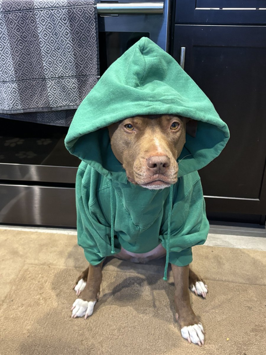 It’s hoodie weather