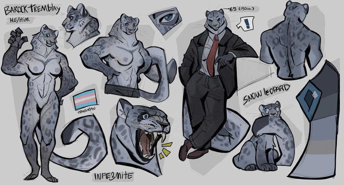 infezmite's tweet photo. a big cat here https://t.co/f0GcGz7BUK