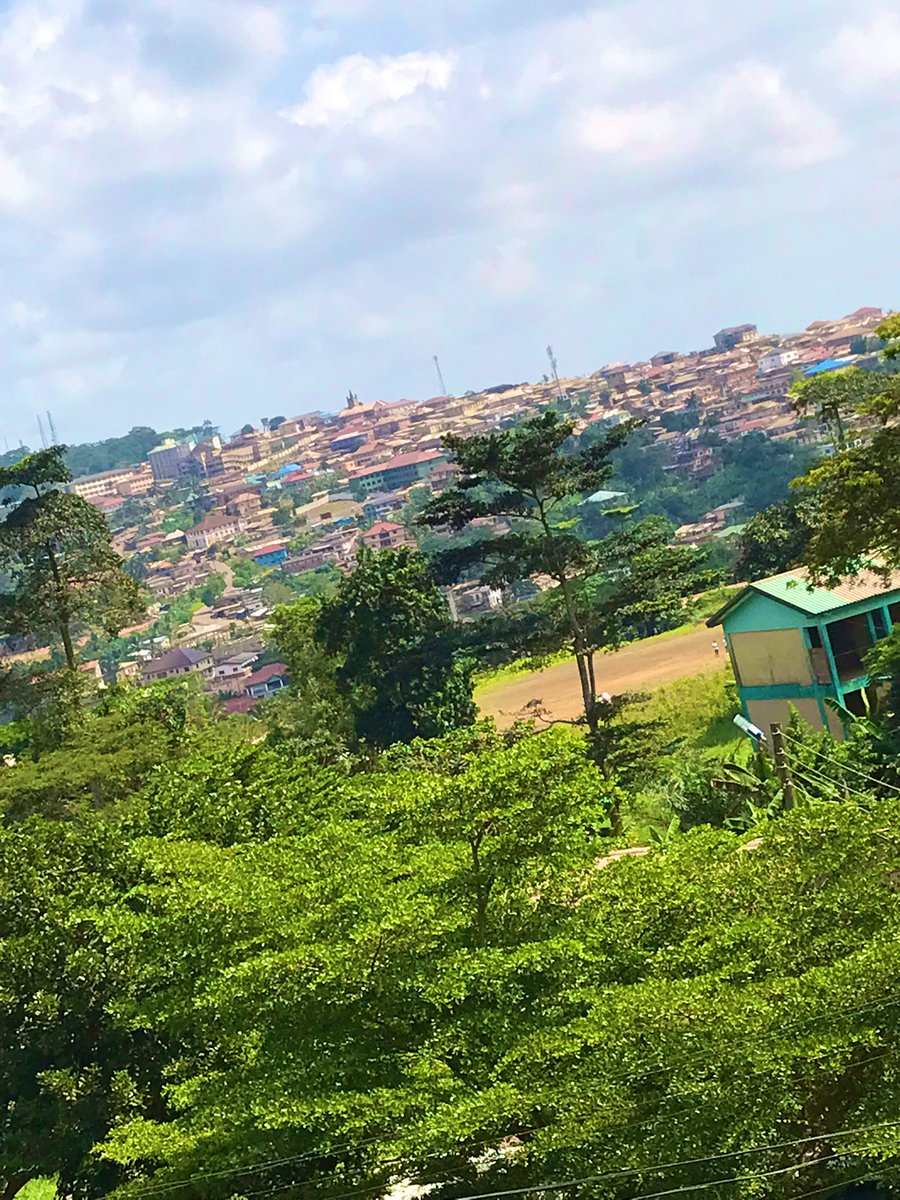 The newguy tweet media