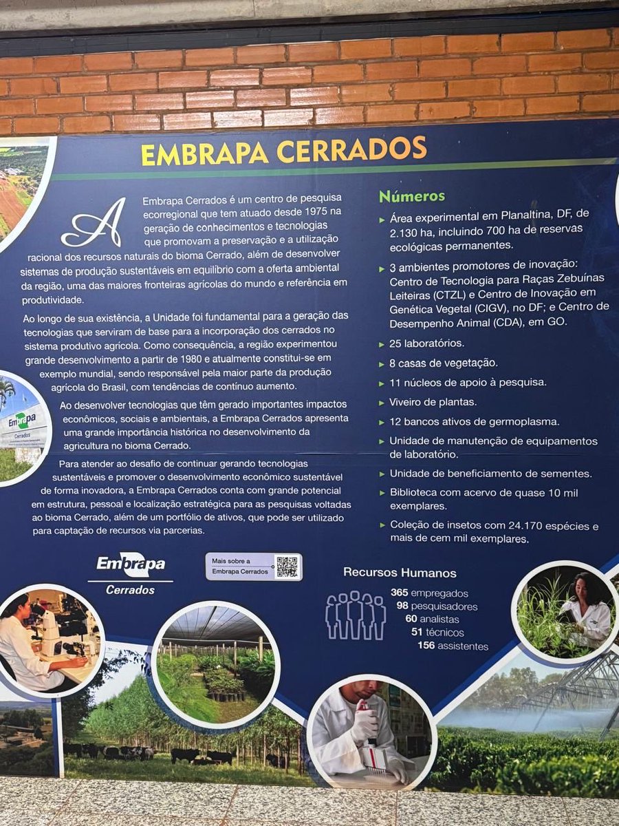 Caio Rocha tweet media