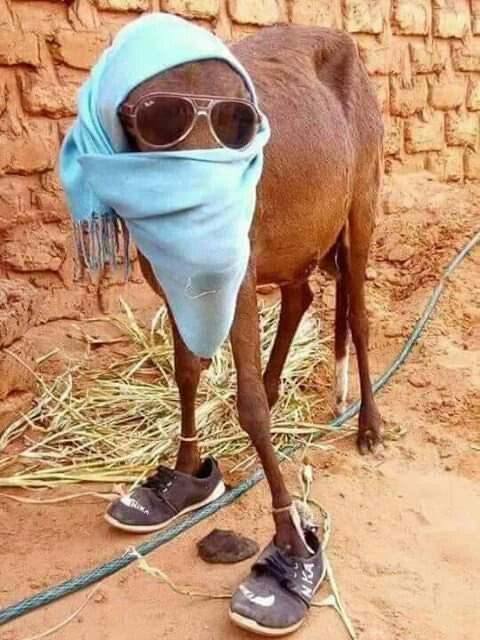 Guess who is this artist in Ghana 🇬🇭?