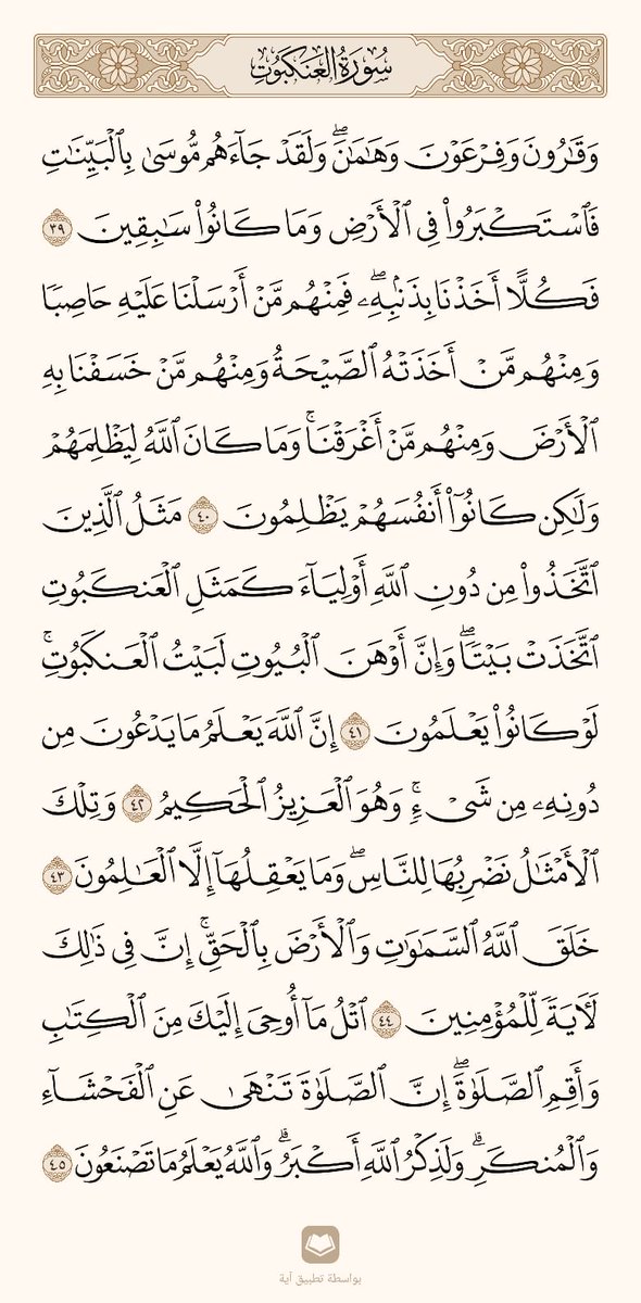 zayed_abusultan's tweet image. 